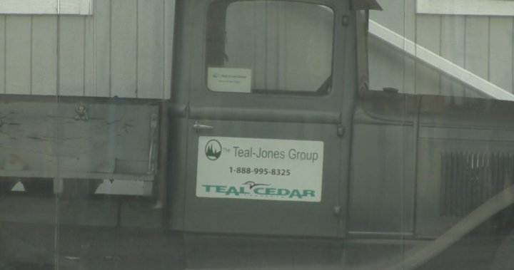 Teal Jones forestry company files for creditor protection in B.C. [Video]