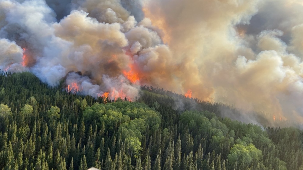 Ontario short forest firefighters amid over dozen reported wildfires [Video]
