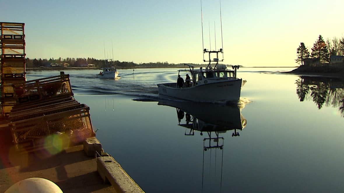 A ‘perfect’ setting day for South Shore lobster fishers on P.E.I. [Video]