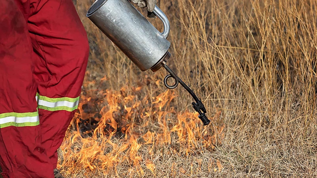 Saskatchewan carrying out prescribed burns as 2024 fire season begins [Video]