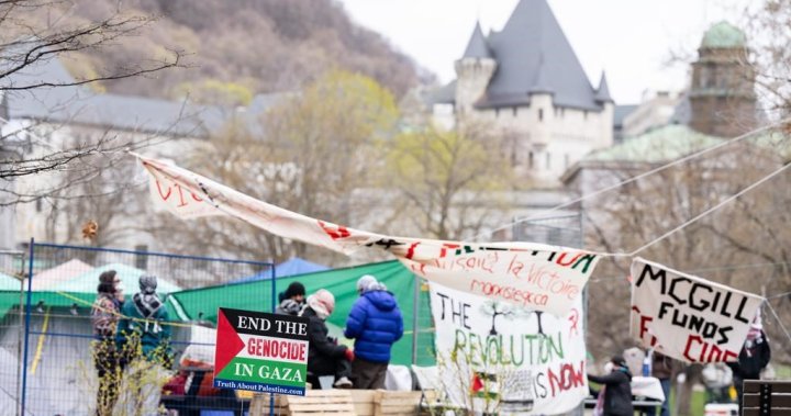 McGill requests police assistance to remove pro-Palestinian encampment on campus [Video]