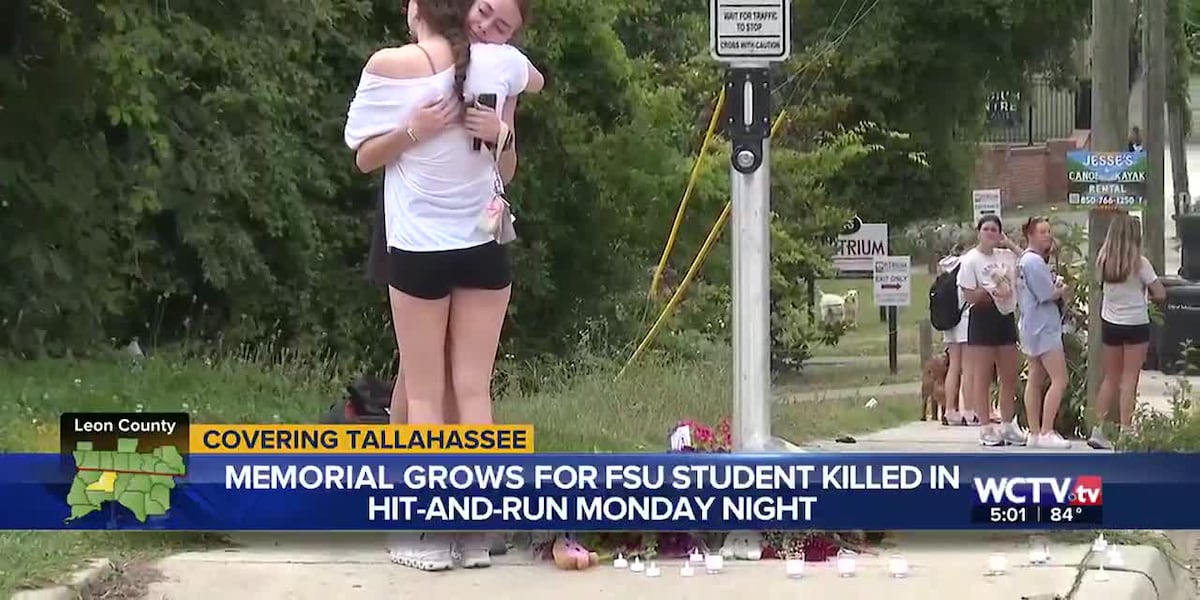 I hit somebody and I just messed up: 18-year-old arrested in connection to fatal hit-and-run invol [Video]