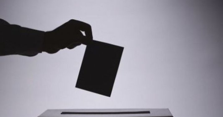 Province says only Canadians can vote in civic elections, despite Calgary city council motion – Calgary [Video]