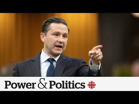 Poilievre using notwithstanding clause would be ‘dramatic’: lawyer | Power & Politics [Video]