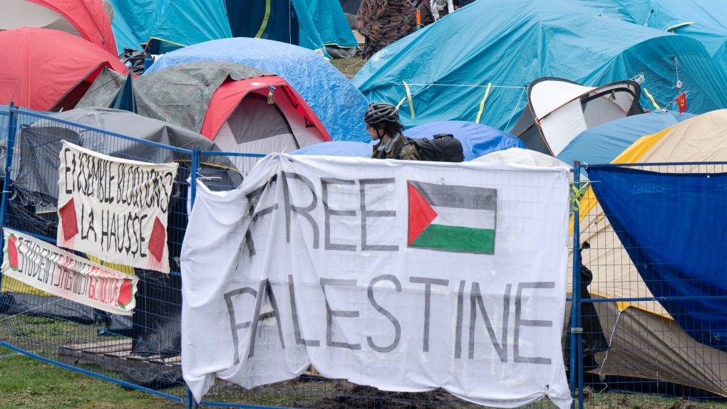 Pro-Palestinian protests on campus: Israeli academics weigh in [Video]
