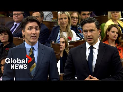 “No time to waste”: Poilievre pushes Trudeau to recriminalize drug use in BC [Video]
