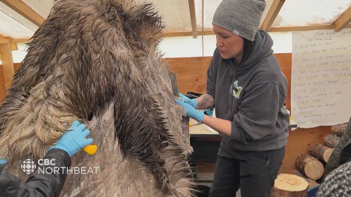 Moose hide tanning camp offers all ages age-old techniques [Video]