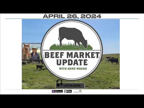 Beef Market Update: Volatility in U.S. cattle markets contrasts gains in Canadian fat cattle prices [Video]