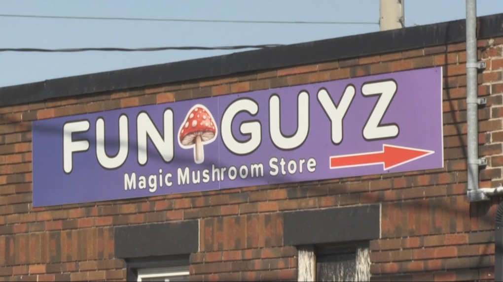 Magic mushroom shops in Kitchener and Cambridge raided  again [Video]