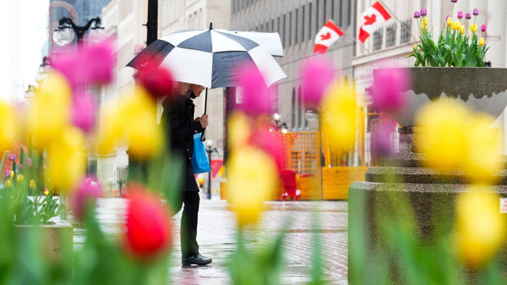 Ottawa weather: Off to warm, rainy weekend [Video]