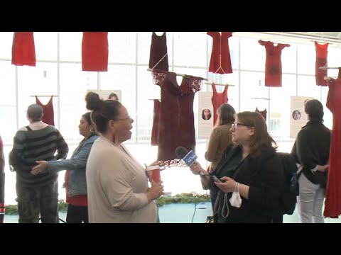 New exhibit at Hamilton Public Library commemorates missing, murdered Indigenous women [Video]