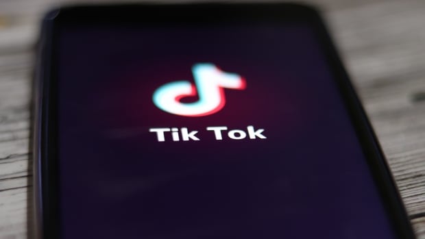 TikTok is suing the U.S. over ‘obviously unconstitutional’ law that would ban it [Video]