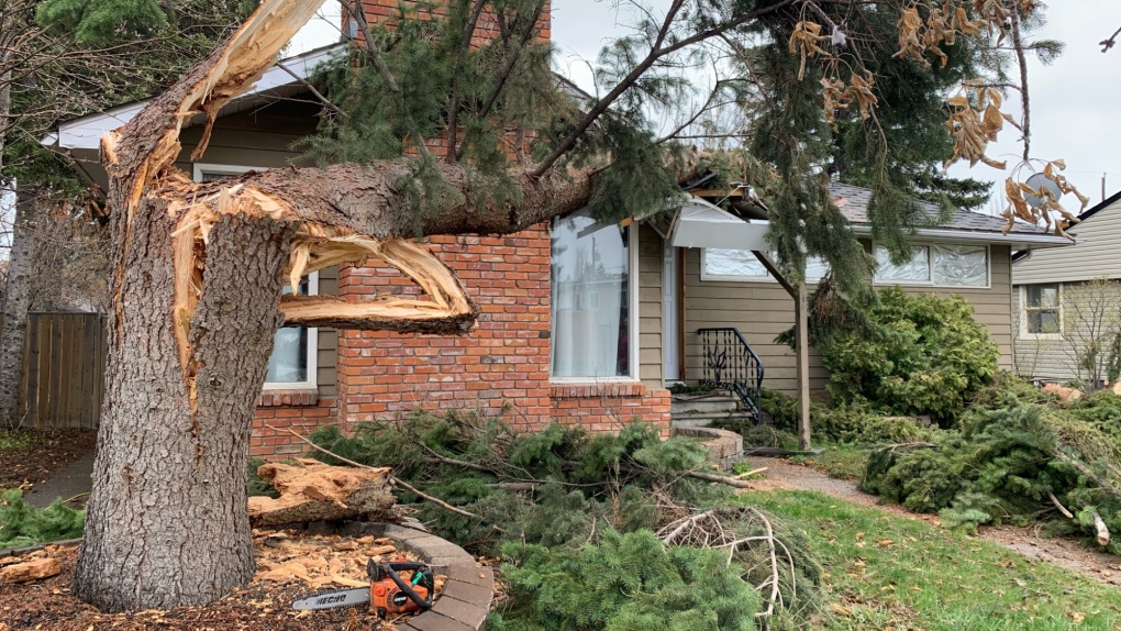 Winds knocks tree onto house in Spruce Cliff [Video]