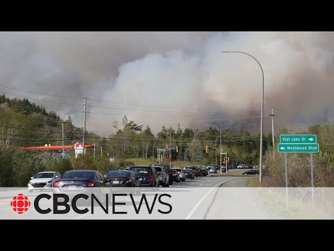 Halifax launches pilot project to help detect wildfires using AI [Video]