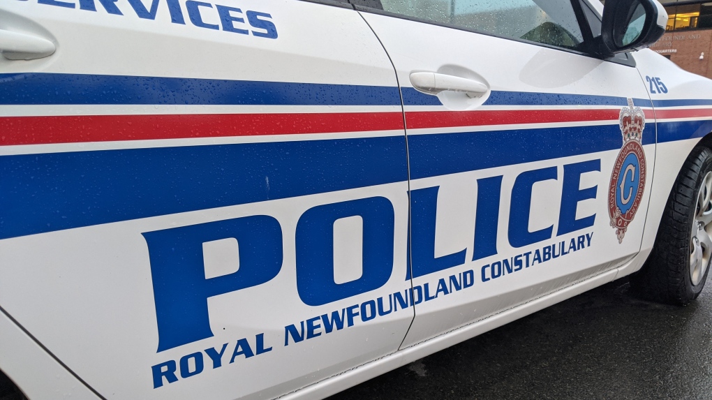 ‘Irate male’ assaulted Newfoundland officers with block of cheese [Video]