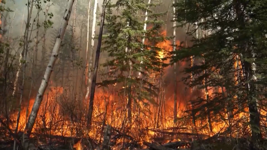 Evacuation order issued for Grande Prairie County No. 1 due to wildfire [Video]