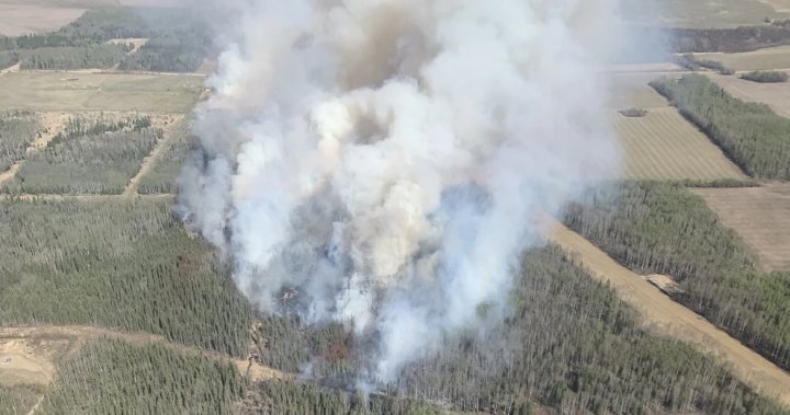Grande Prairie County No. 1 placed under evacuation order due to wildfire – Edmonton [Video]