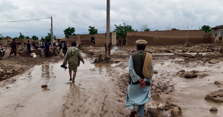 Over 300 dead after flash floods in Afghanistan, UN says – National [Video]