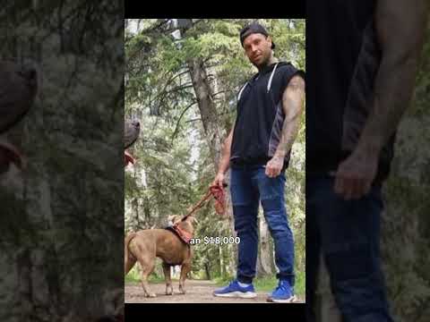 Calgary man fined for fatal pit bull attack [Video]