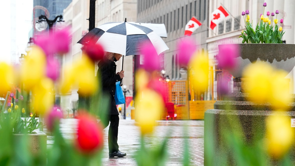 Ottawa weather: Off to cloudy, rainy Sunday [Video]