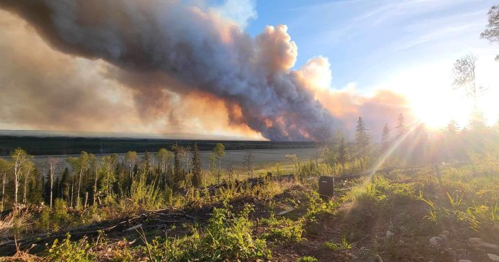 BC Wildfires: Fort Nelson residents help feed crews as Parker Lake fire continues to burn [Video]