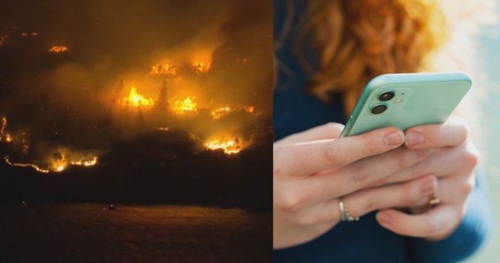 Be ready for anything after wildfires hit telecom lines, official warns [Video]