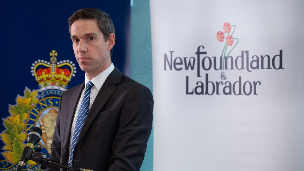 Curbing domestic violence takes staff, and there aren’t enough, says N.L. director [Video]