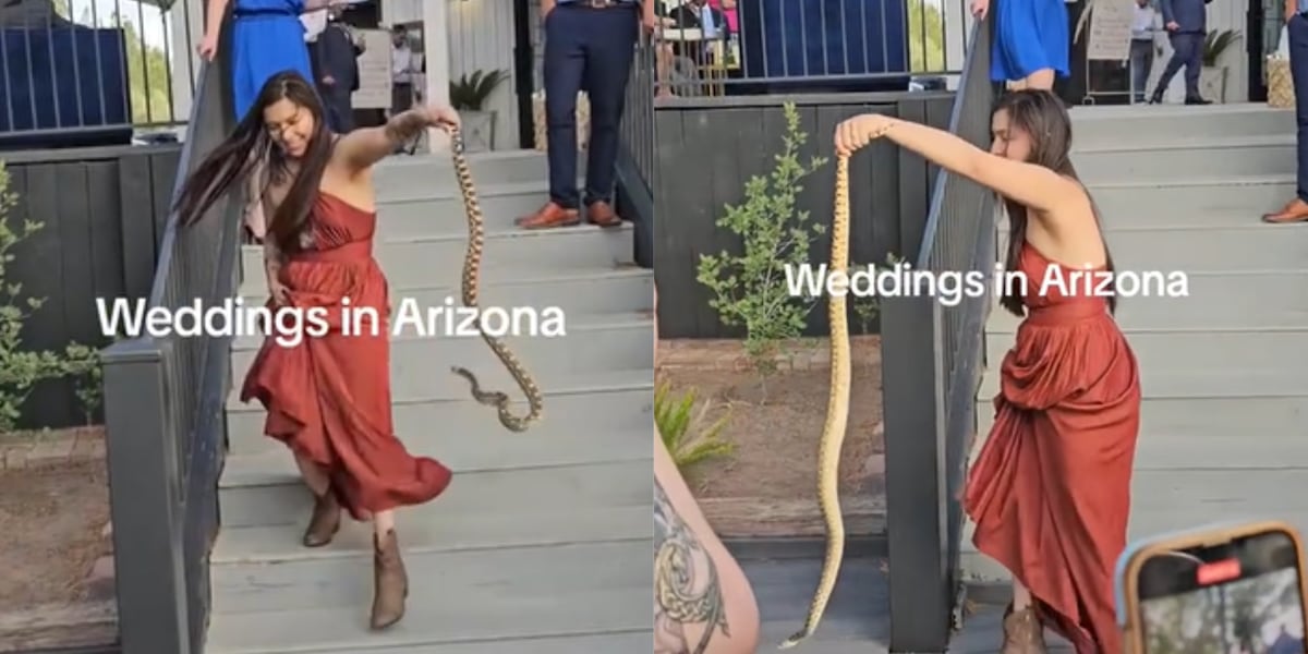 Brave bridesmaid moves snake away from wedding guests [Video]