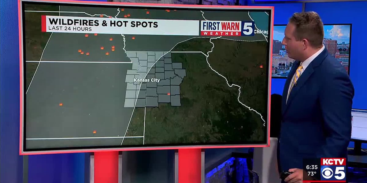 Air quality levels in Kansas City impacted by Canadian wildfires [Video]