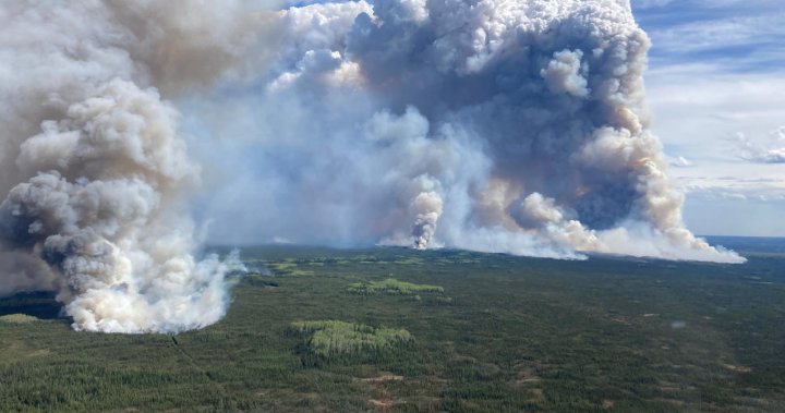 Wildfire near Fort Nelson now more than 8,000 hectares, expected to grow [Video]