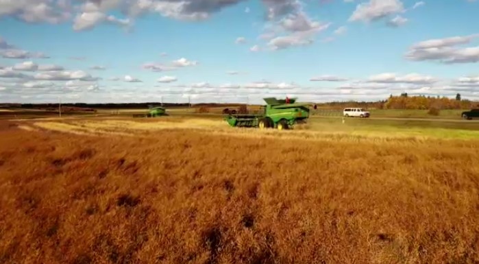 Manitoba crop report shows seeding progress growing [Video]