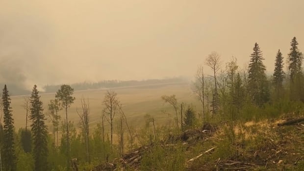 B.C.’s early start to wildfire season produces record May carbon emissions [Video]
