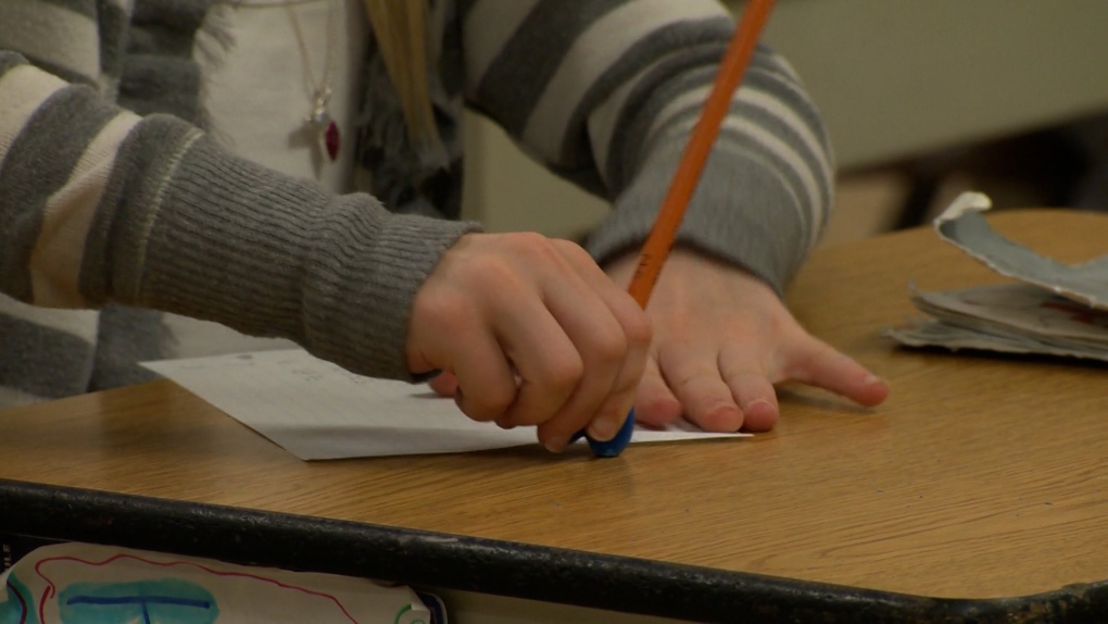 OCDSB: Program review looks at possibility of cutting English-only education [Video]