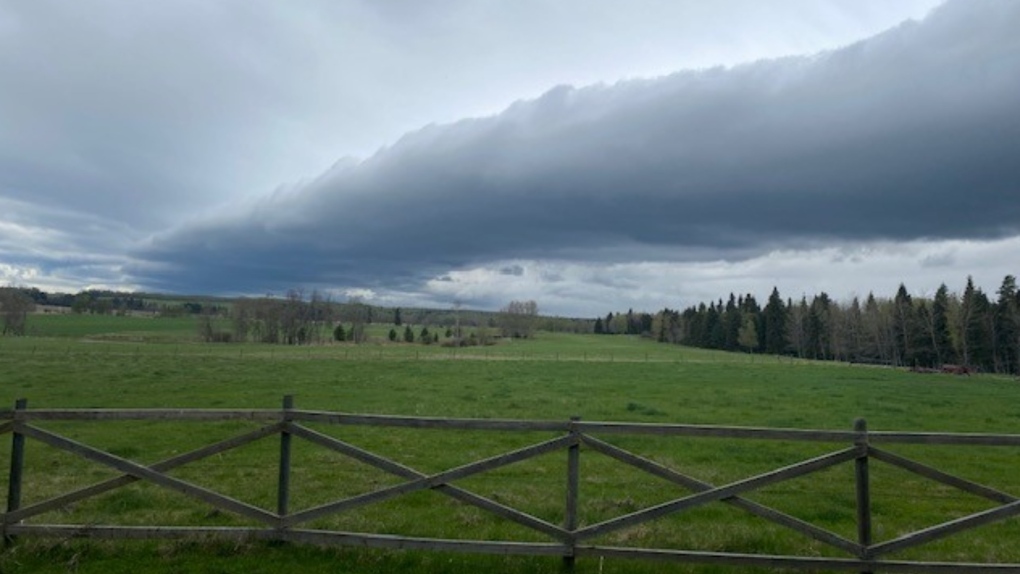 Calgary weather: Expect a cooler day on Friday [Video]