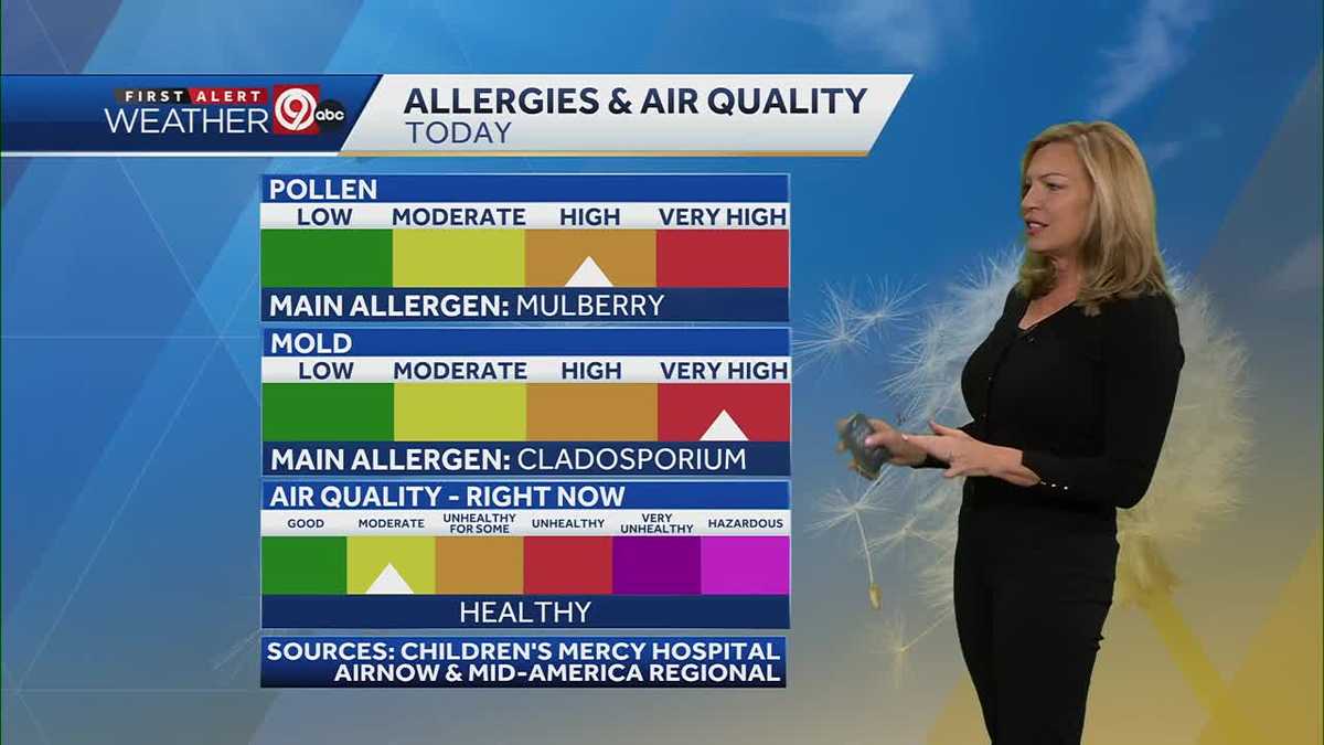 Feeling ‘raspy’ in Kansas City Friday? Air quality reports: [Video]