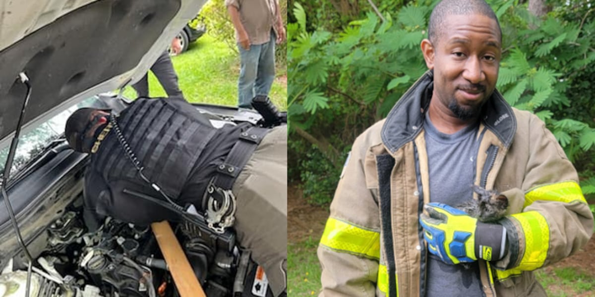 Firefighters and deputies save kitten stuck in car [Video]