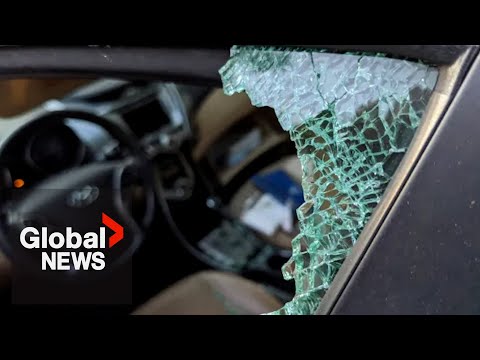Car thieves in Ontario could see their licenses suspended up to a “lifetime” [Video]