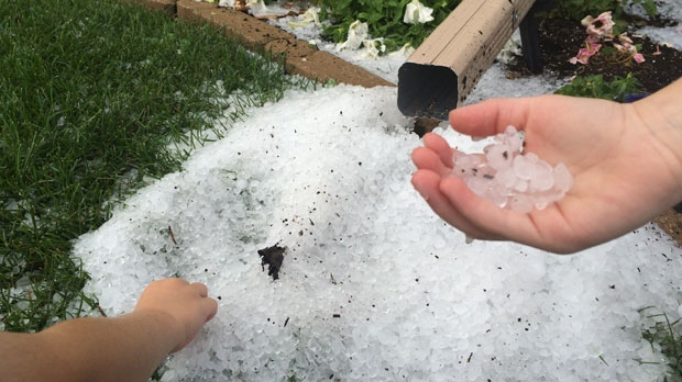 MPI to open temporary hail estimate centre next week [Video]