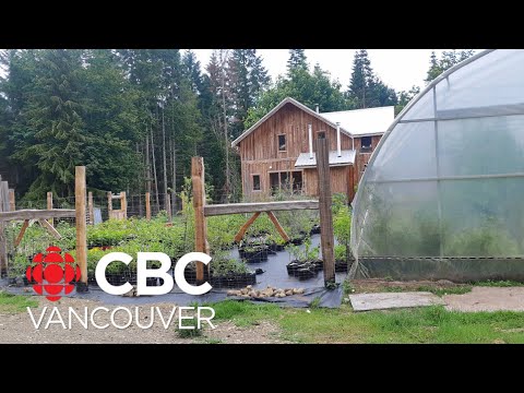 Denman Island, B.C., homesteader says home is about sustainability [Video]