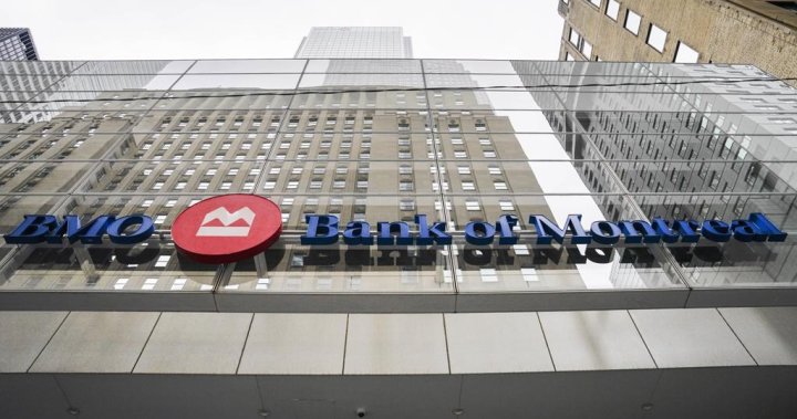 BMO misses Q2 profit expectations as it sets aside more money for bad loans – National [Video]
