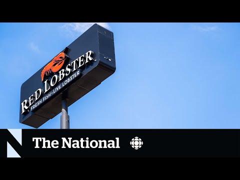 Red Lobster seeks to have U.S. bankruptcy enforced in Canada [Video]