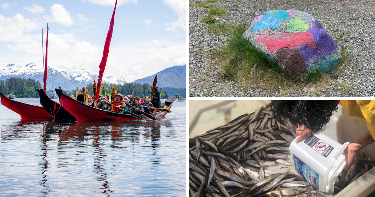 AROUND ALASKA: Celebration 2024, Park Vandalism, and Fishing Season! | Around Alaska [Video]