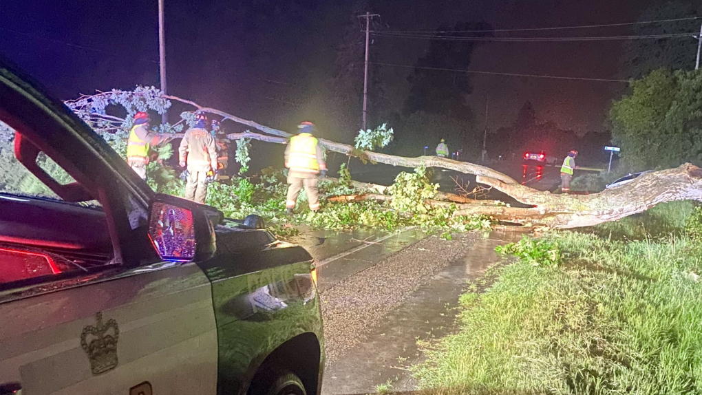 Eastern Ontario thunderstorm: Falling tree injures uninsured driver in Augusta Township [Video]