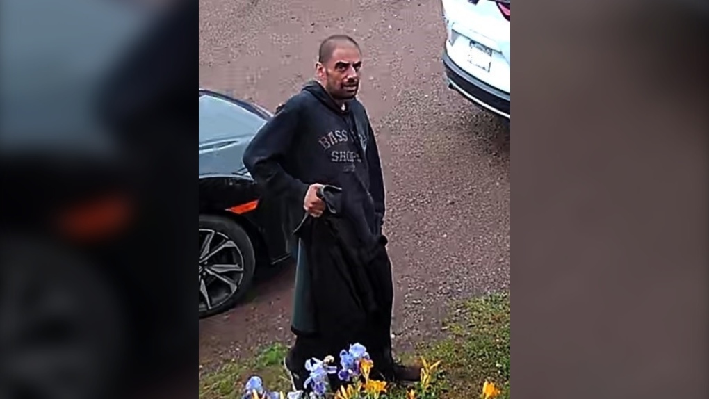 N.B. news: Man allegedly steals car in Shediac [Video]