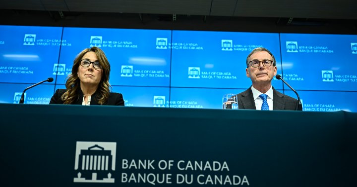 Bank of Canadas rate cut deliberations detail housing market anxieties – National [Video]