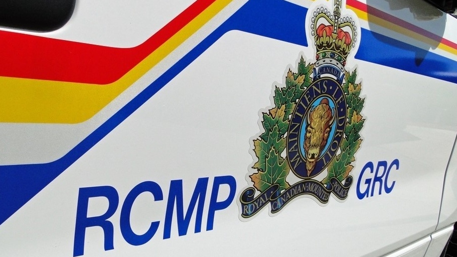 Sask. driver dead following SUV and semi crash on Highway 4 [Video]