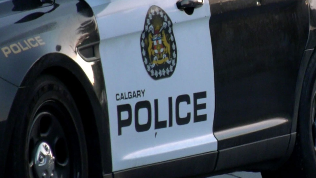 Suspects sought in Fish Creek Provincial Park assault [Video]