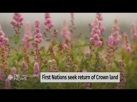 Three First Nations seek return of around 120 hectares of Crown land in Surrey, B.C. [Video]