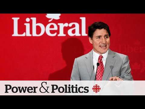 Liberal leader change won’t flip ‘soft voters,’ pollsters say | Power & Politics [Video]