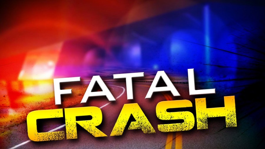 Woman dead after crash in Gonzales, police say [Video]
